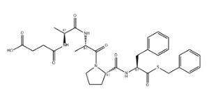 CARBOXYPEPTIDASE B