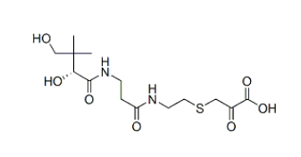 Propanoic acid, 3-((2-((3-((2,4-dihydroxy-3,3-dimethyl-1-oxobutyl)amin o)-1-oxopropyl)amino)ethyl)thio)-2-oxo-, (R)-