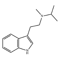 N-METHYL-N-ISOPROPYLTRYPTAMINE(MIPT)