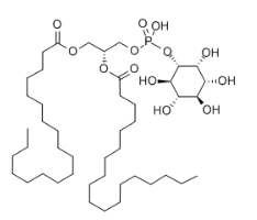 L-ALPHA-PHOSPHATIDYLINOSITOL