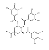 3,4,5-tri-O-galloylquinic acid