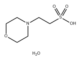 MES monohydrate