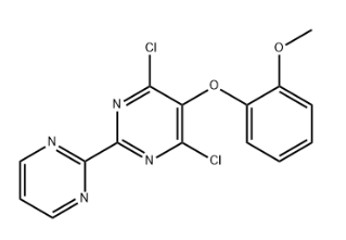 4,6-Dichloro-5-(2-methoxyphenoxy)-2,2'-bipyrimidine