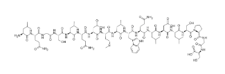 LEPTIN (150-167) (HUMAN)