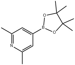 2,6-DIMETHYLPYRIDINE-4-BORONIC ACID, PINACOL ESTER