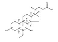 Obeticholic Acid