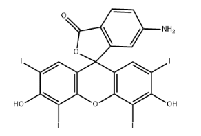 6-AMINOERYTHROSIN