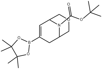 3-oxo-8-tbutylcarbonyldicyclo-2-decane-7-boronic ester