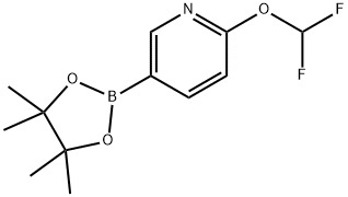 2-(difluoromethoxy)-5-(4,4,5,5-tetramethyl-1,3,2-dioxaborolan-2-yl)pyridine