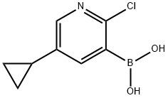 2-Chloro-5-cyclopropylpyridine-3-boronic acid