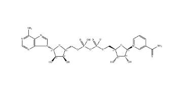 Thionicotinamide adenine dinucleotide