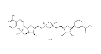 BETA-NADPH TETRASODIUM SALT