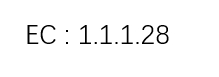 D-Lactate dehydrogenase