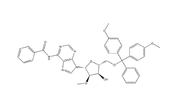 5′-ODMT-2’-OMe N-Bz adenosine