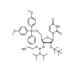 5′-ODMT-2’-OTBDMS uridine amidite