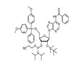 5'-ODMT-2’-OTBDMS-N-Bz adenosine amidite