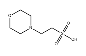 4-Morpholineethanesulfonic acid