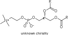 Egg phospholipids