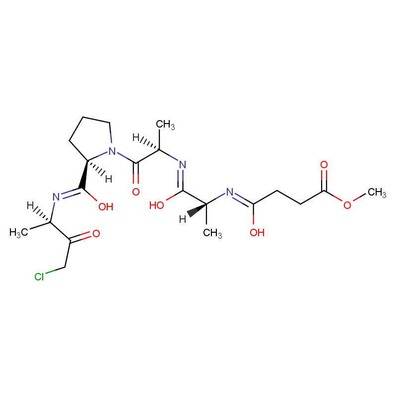 Elastase