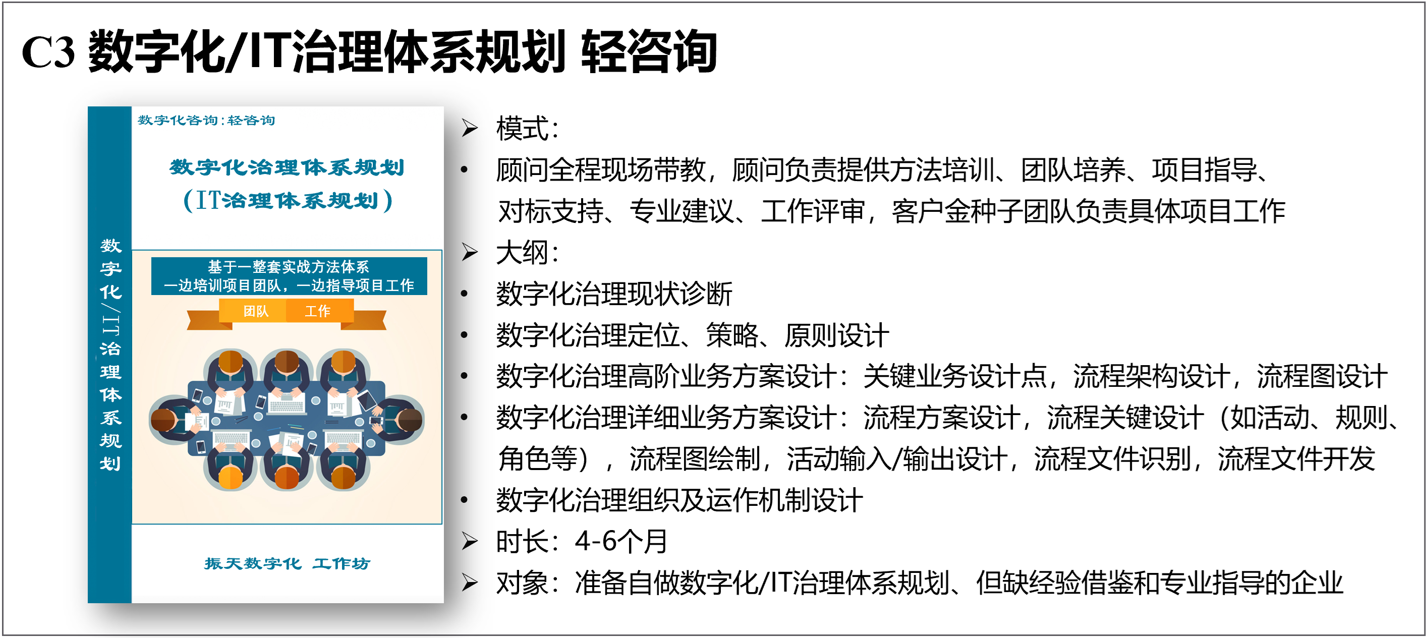  C3 数据治理规划 轻咨询