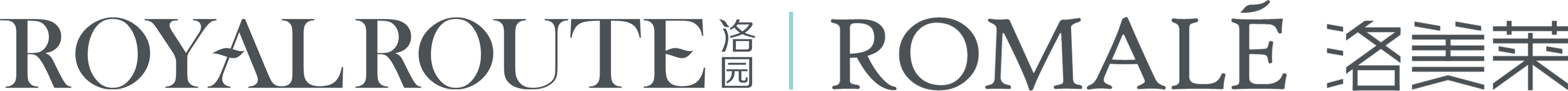描述