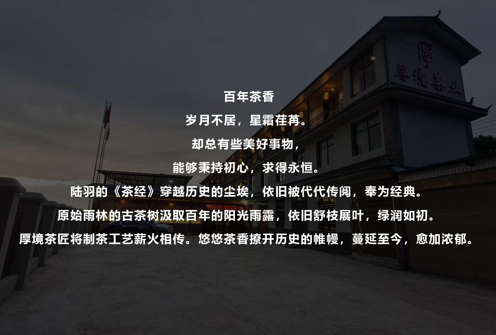 描述