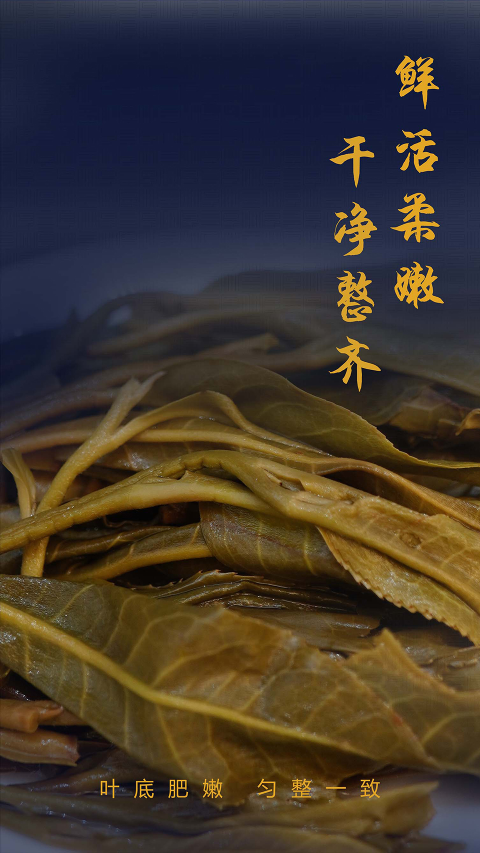 描述