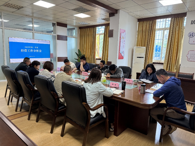 實(shí)業(yè)公司召開2025年一季度經(jīng)營(yíng)工作分析會(huì)