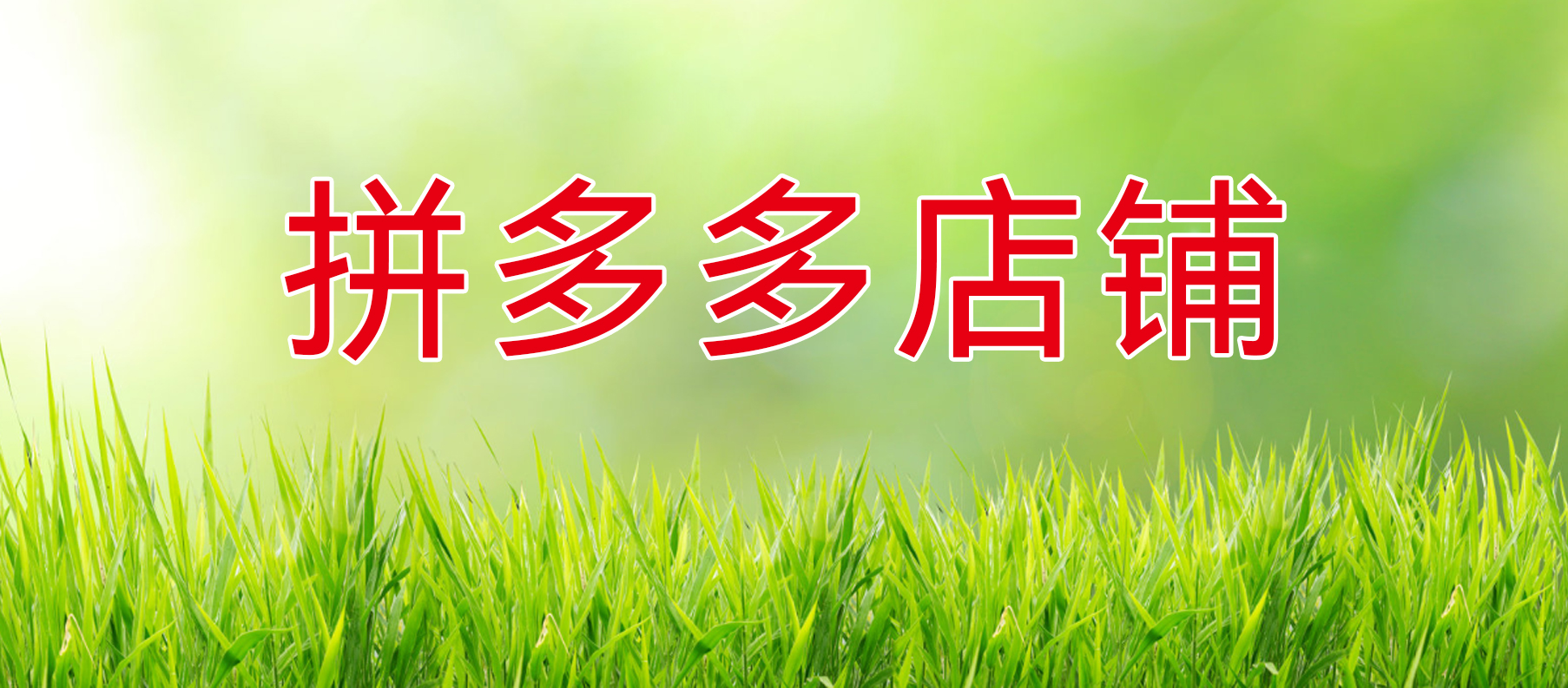描述
