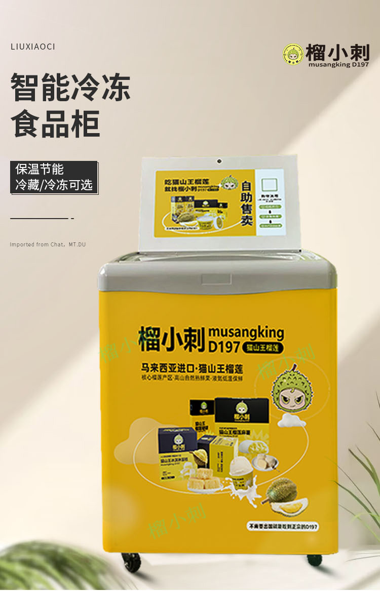 榴小刺自助冰柜单门BG-002