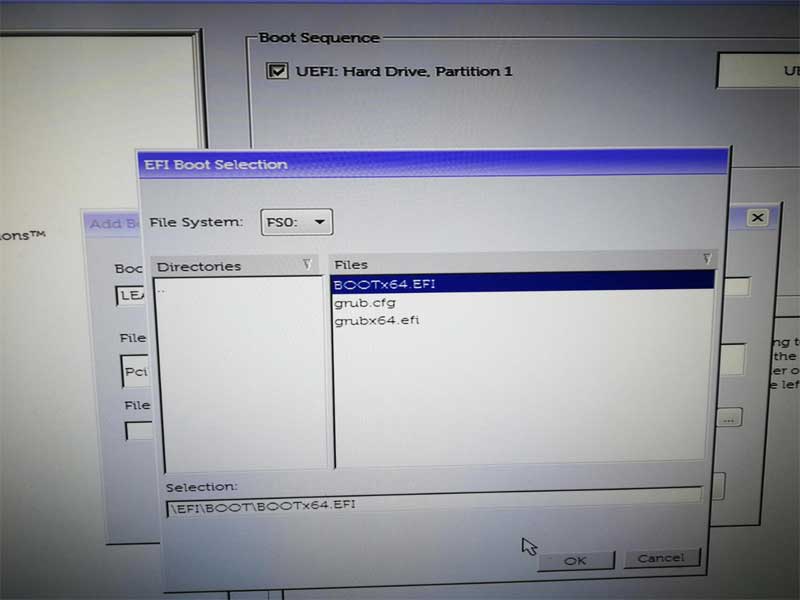 DELLWYSE-BOOT2