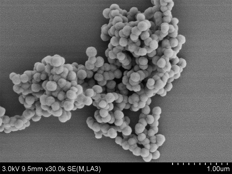 硅羟基磁性纳米微球RebeceBeads Mag OH 50B