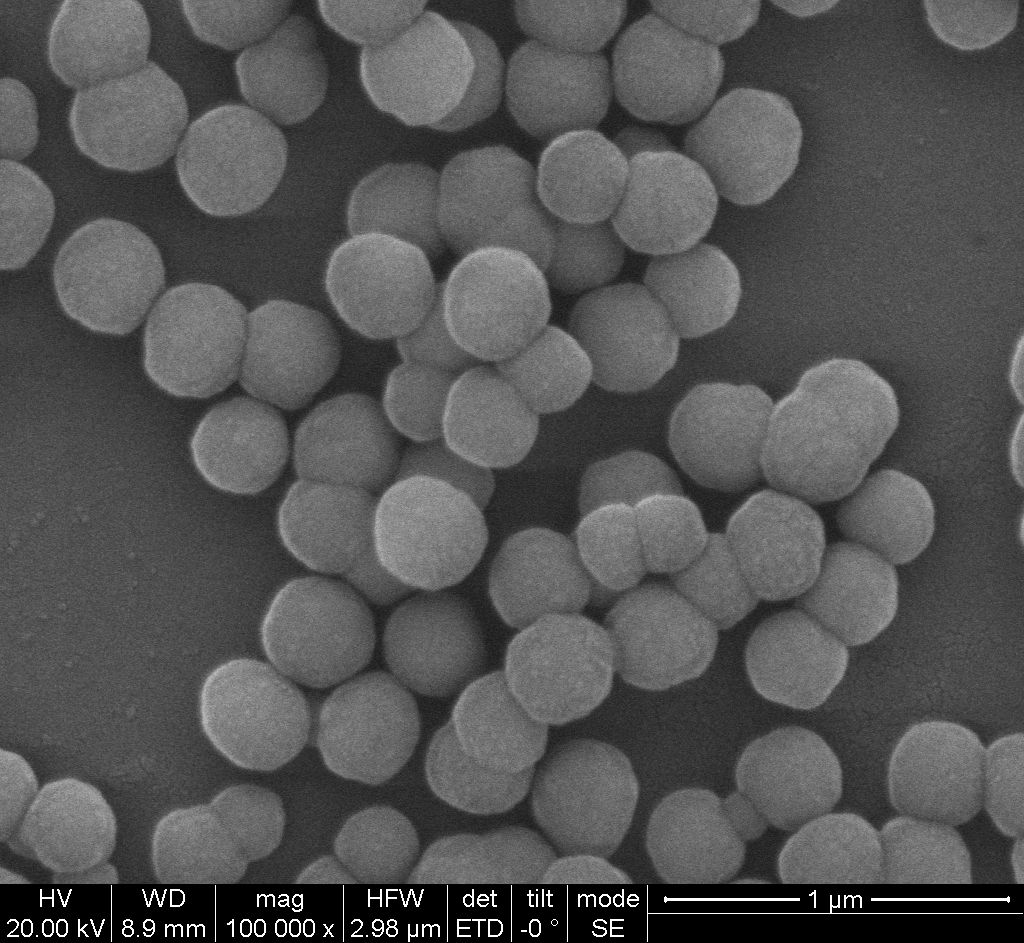 硅羟基磁性纳米微球RebeceBeads Mag OH C