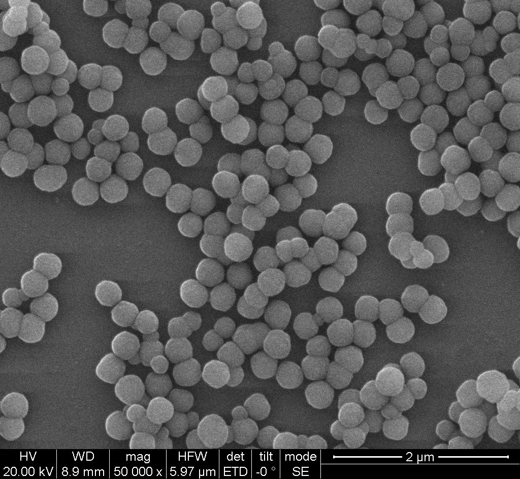 硅羟基磁性纳米微球RebeceBeads Mag OH 100