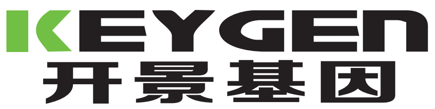 描述