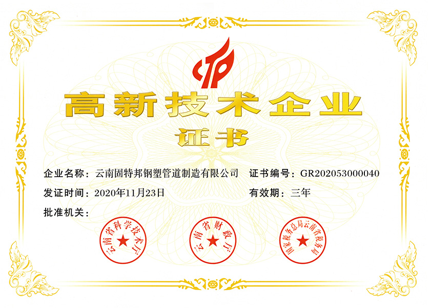 zizhi20