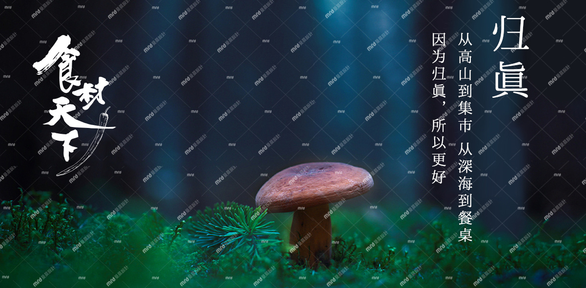 1631588790984b4465a56d16b442c