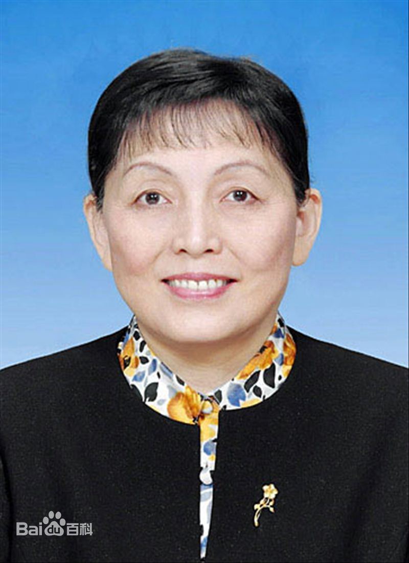 张梅颖全国政协原副主席