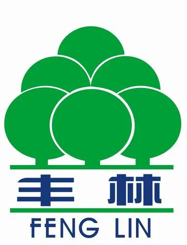 描述