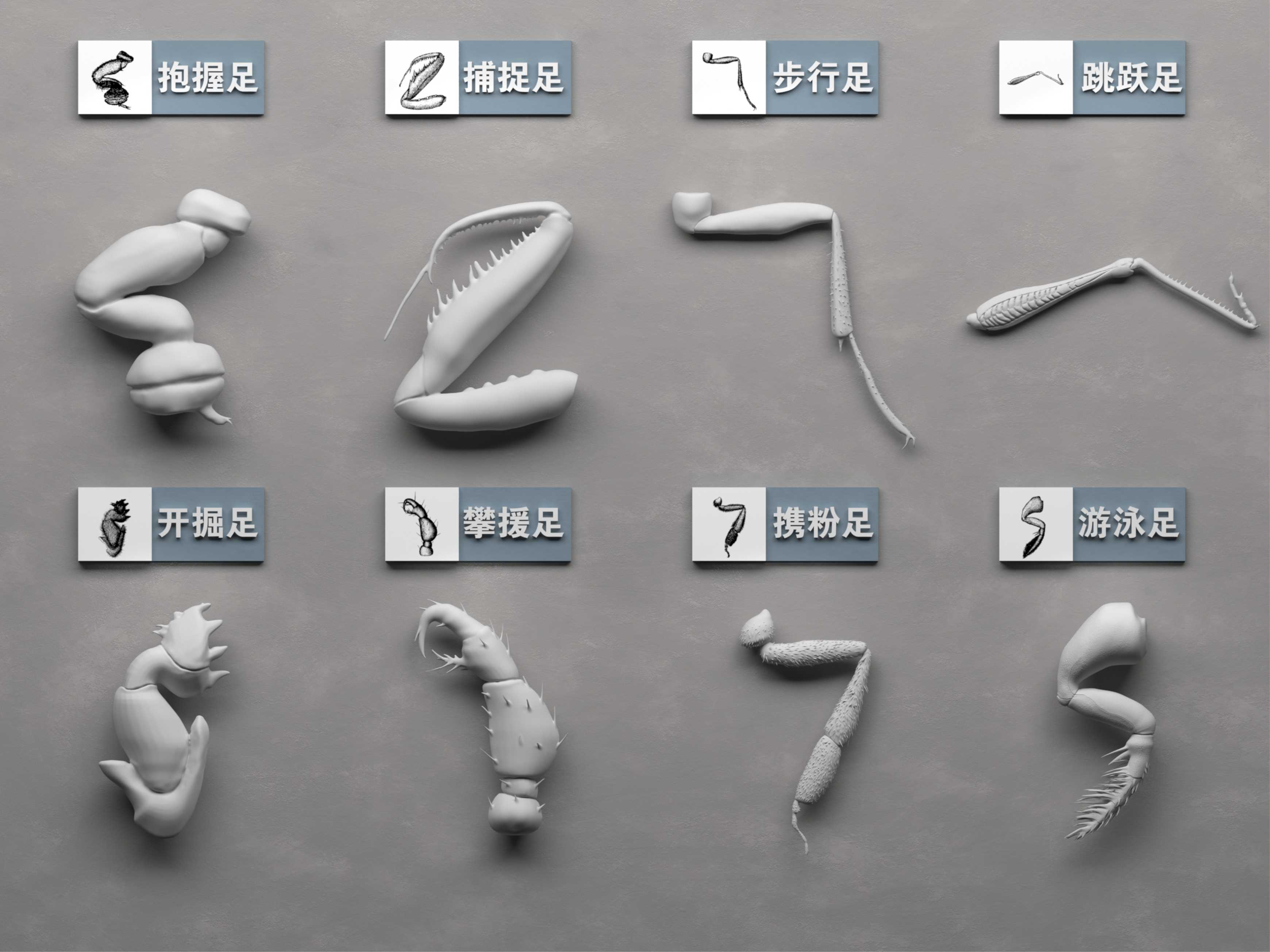 口器02