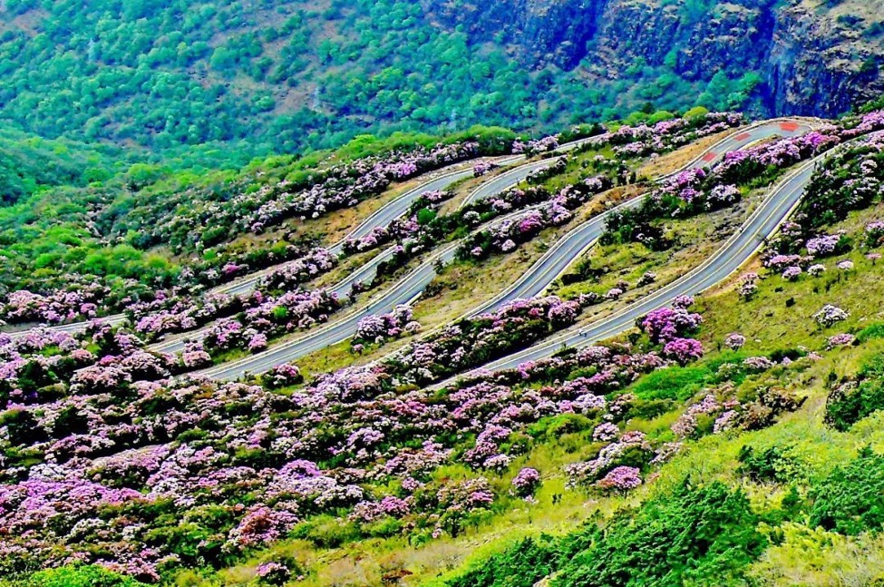 昆明轿子雪山旅游专线公路建设项目