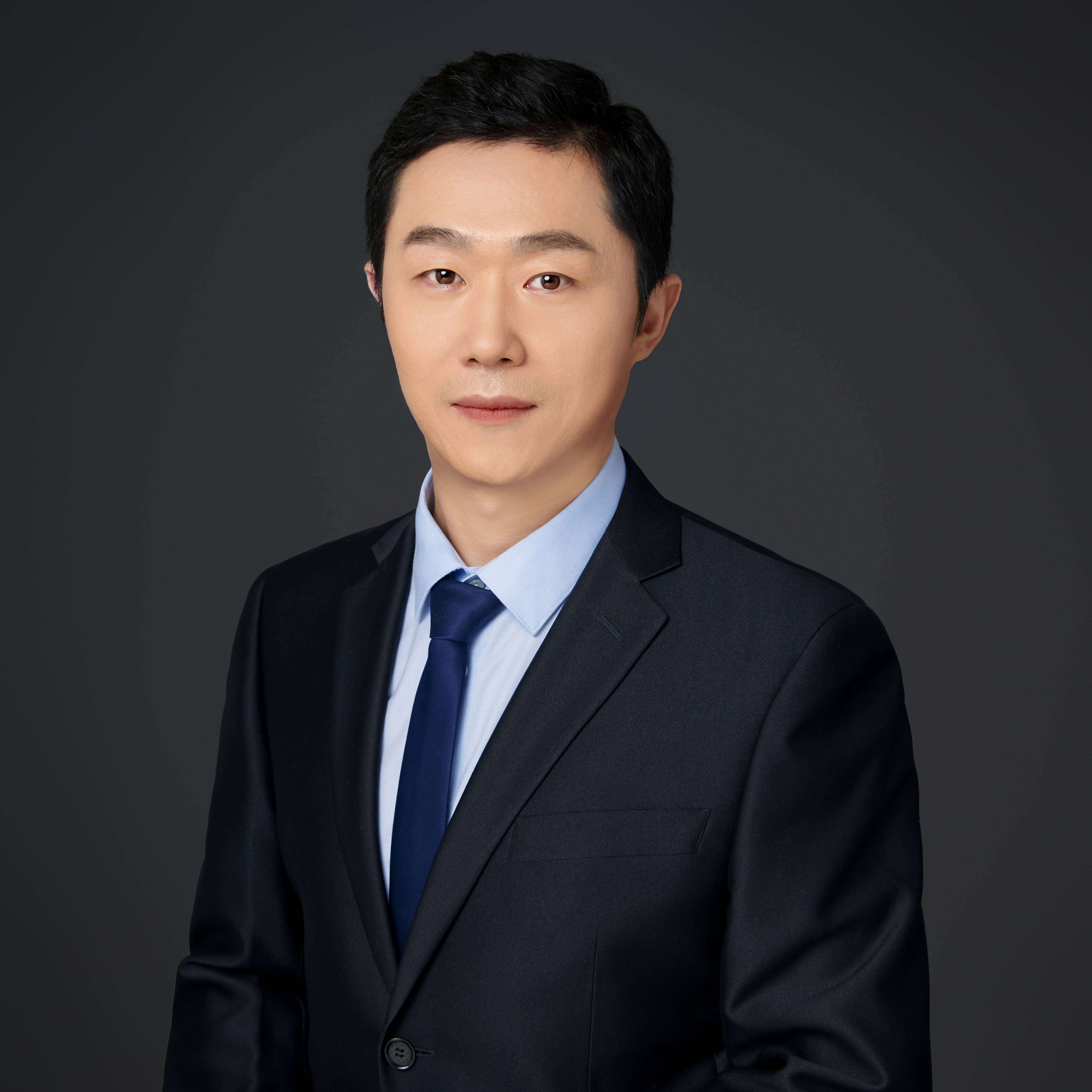 领域：知识产权  民商事诉讼及仲裁