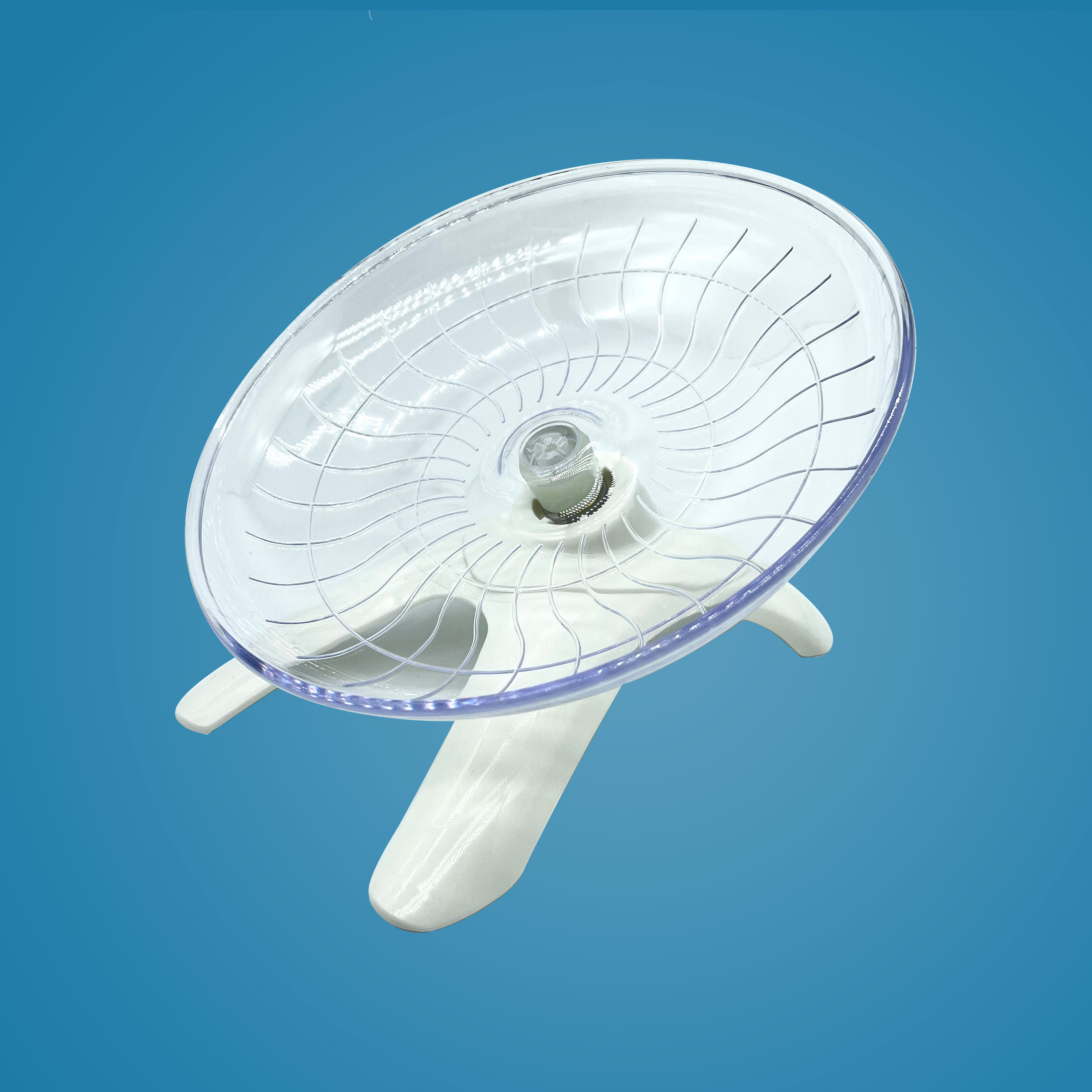 Exercise Disk