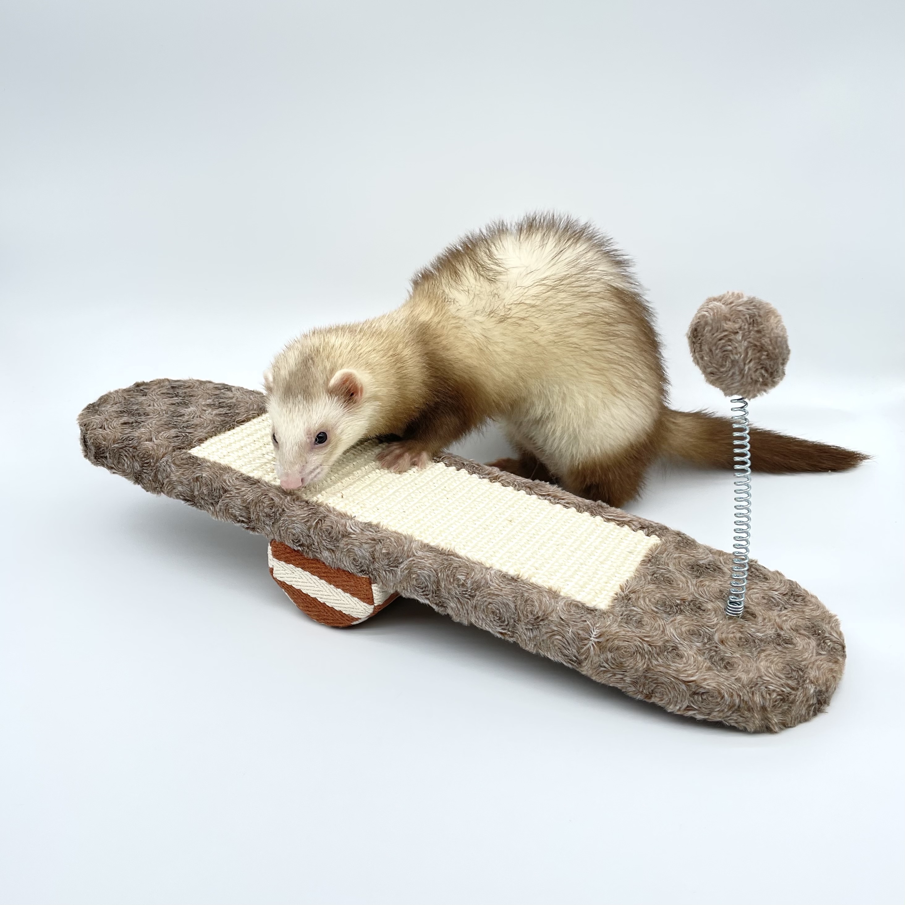 Pet Seesaw Board