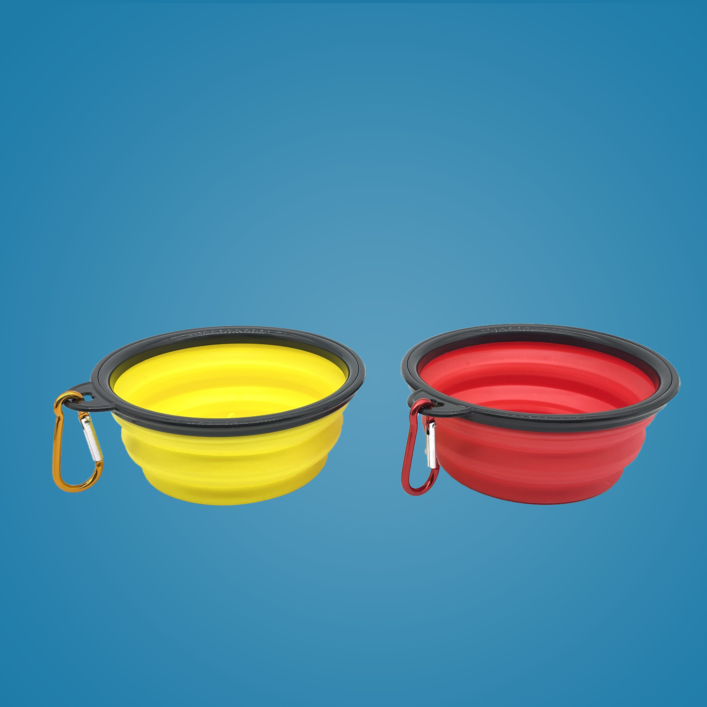 Folding Food/Water Dish