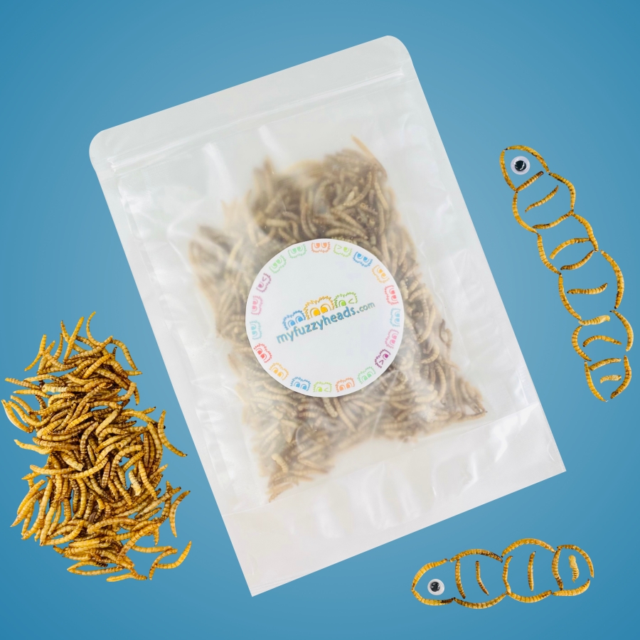 Freeze Dried Meal Worms (Small)