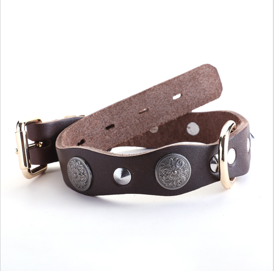 Leather Silver Coin Pet Collar