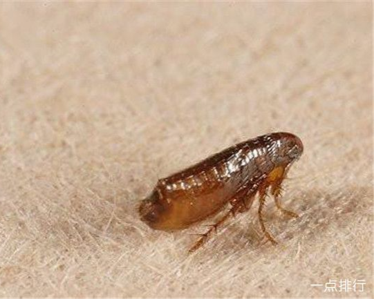 8dd2c15c0bbee466f0738dc8f6a2fe89