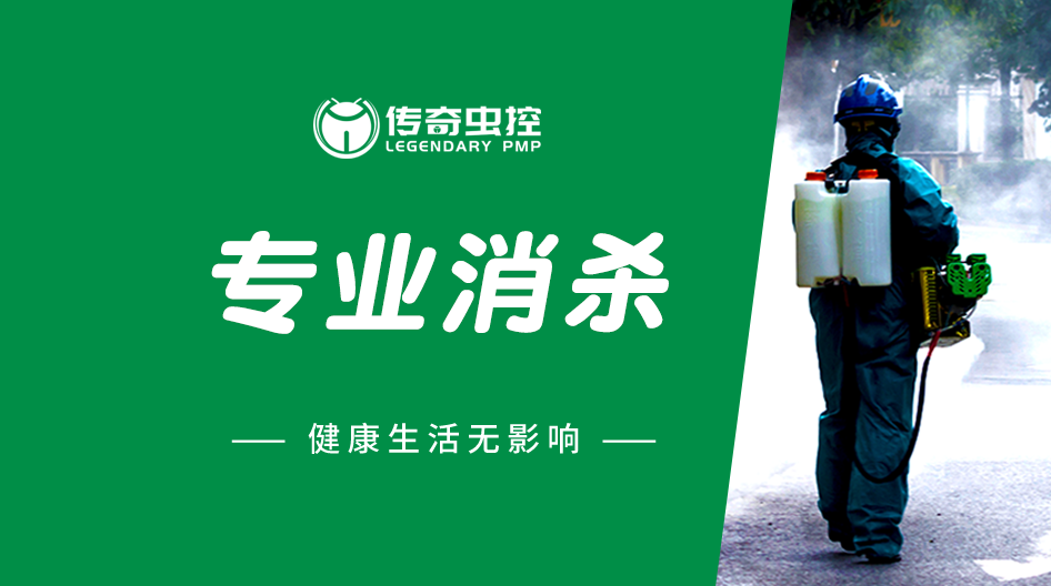 成都灭鼠_灭蟑螂_白蚁防治_除四害找传奇虫控灭鼠除虫公司