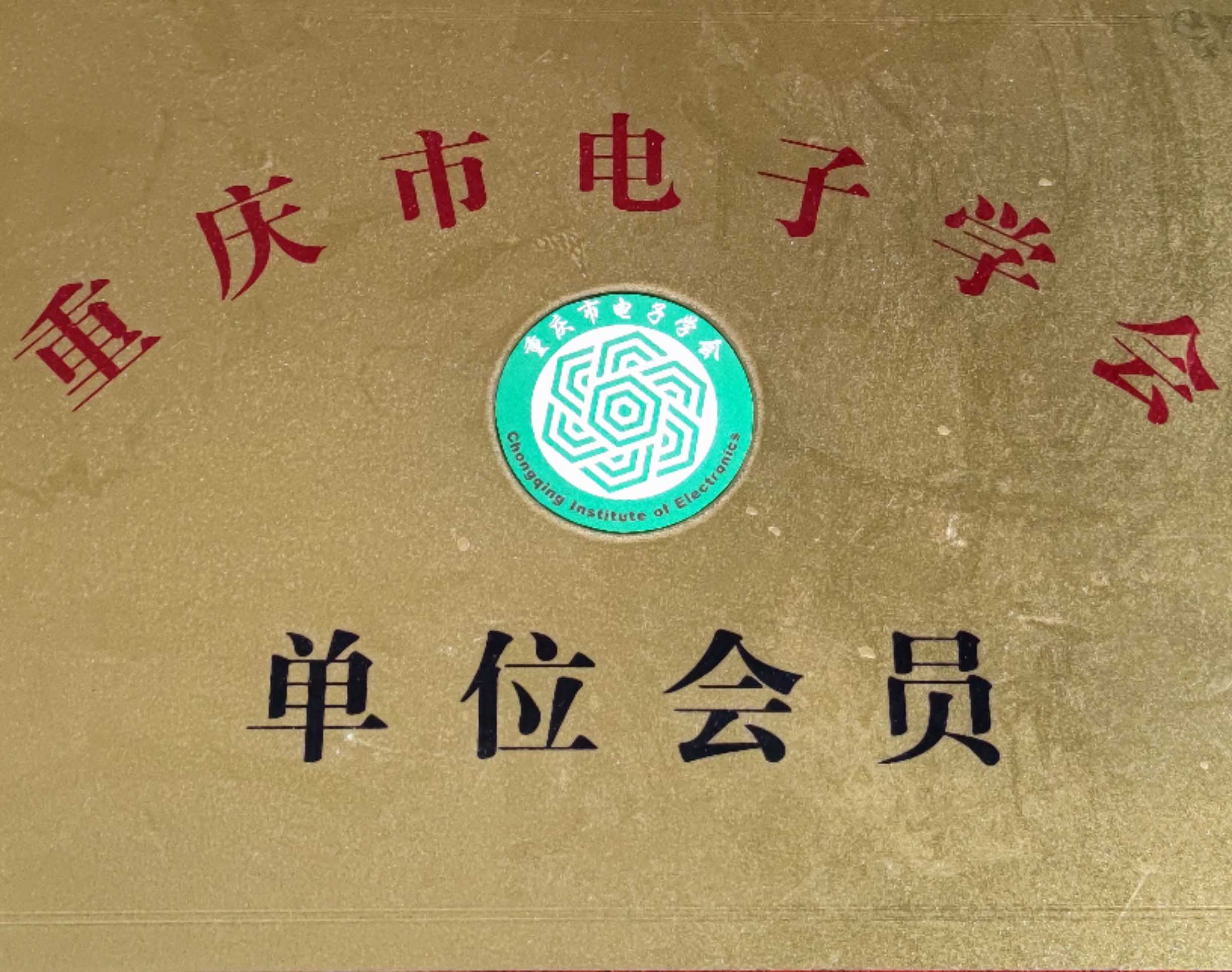 重庆晓南教育科技有限公司成为重庆市电子学会正式会员